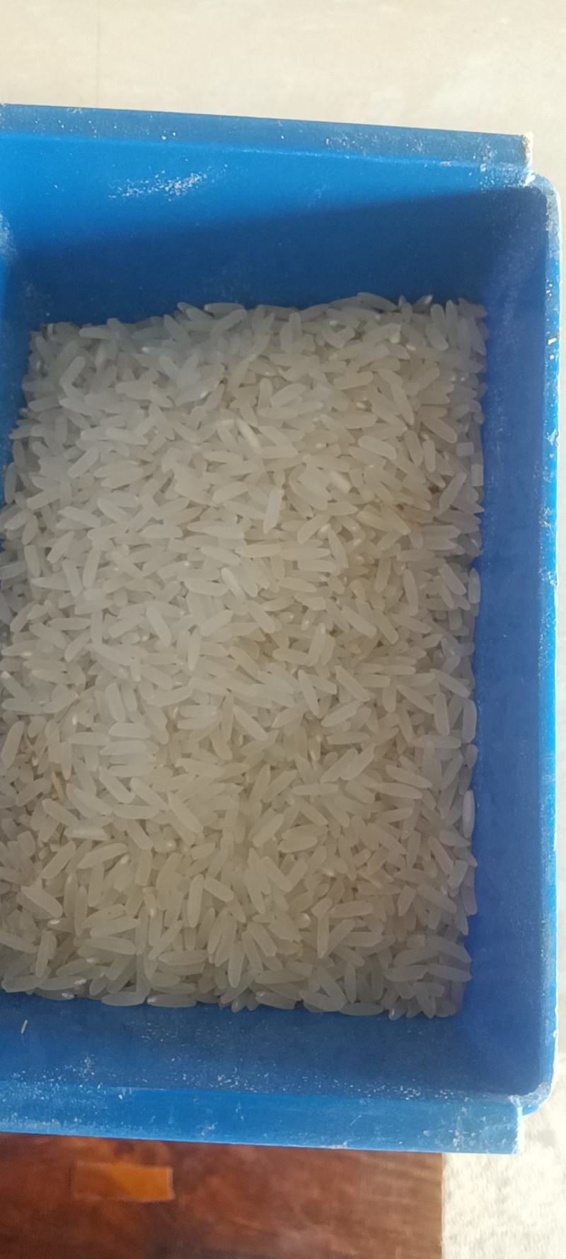 野香优航1573米质油青香味浓郁烘干，农户晒干大量有货。
