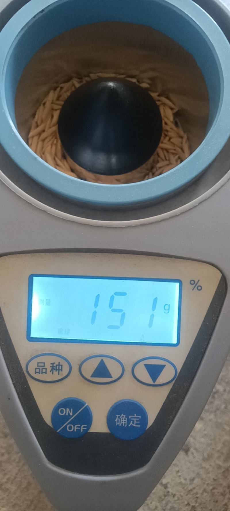 野香优航1573米质油青香味浓郁烘干，农户晒干大量有货。