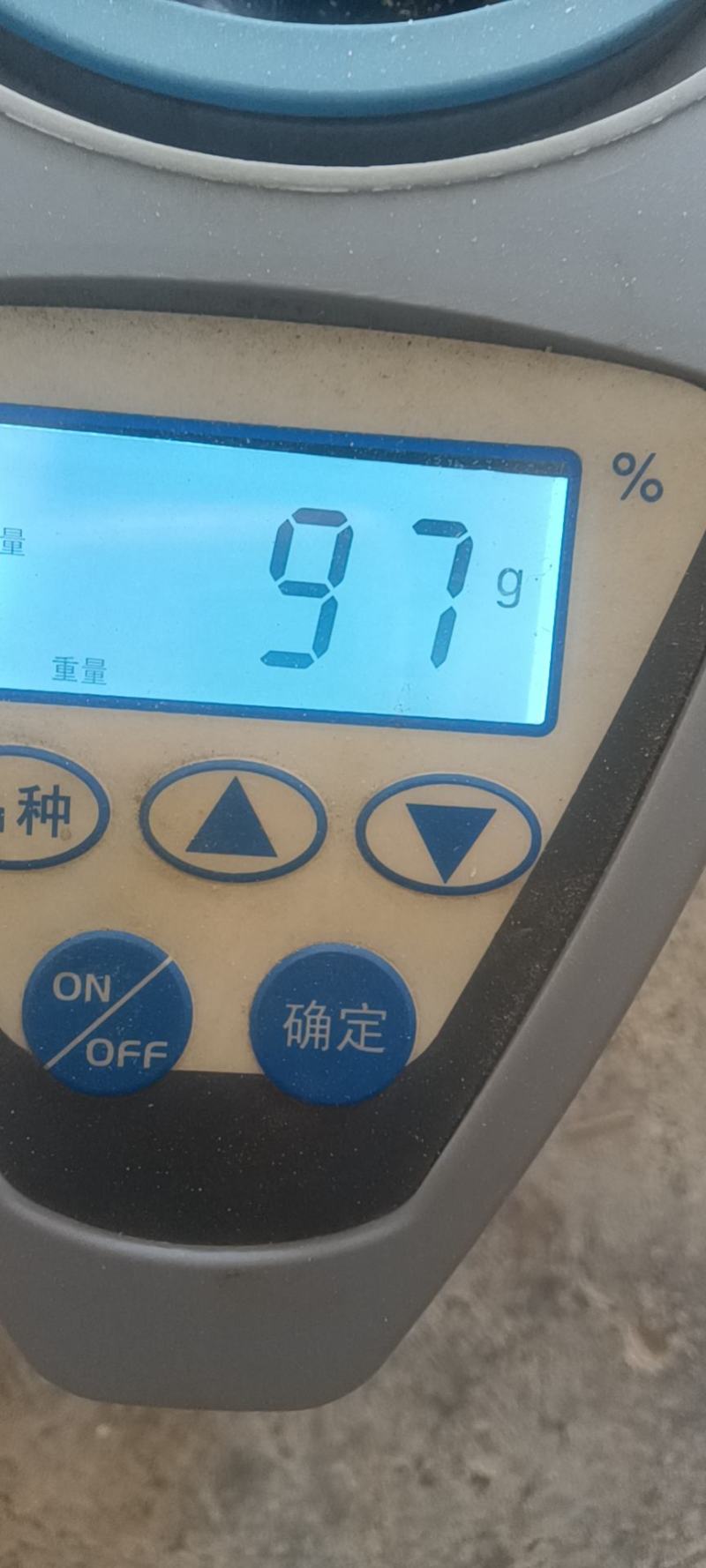 野香优航1573米质油青香味浓郁烘干，农户晒干大量有货。