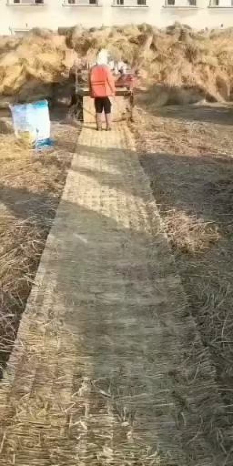 苗木草绳。产地直销。。。大量供应，，批发价格