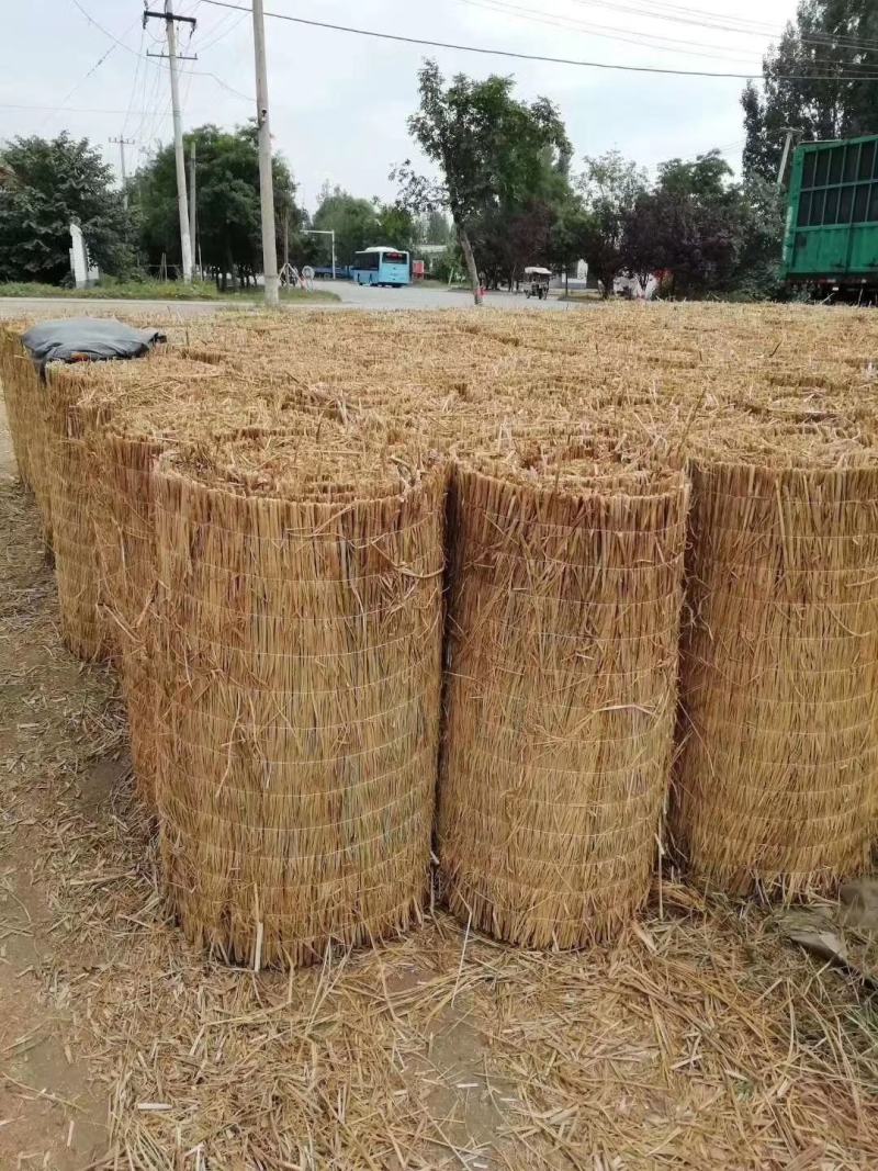 苗木草绳。产地直销。。。大量供应，，批发价格
