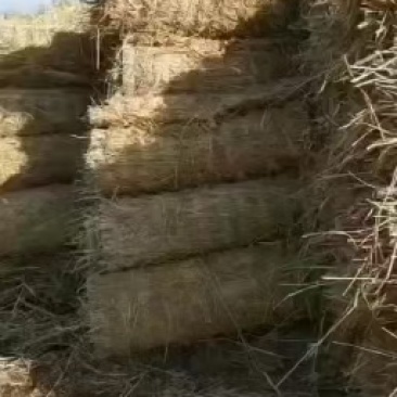 苗木草绳。产地直销。。。大量供应，，批发价格