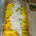 【精品】辽宁菲律宾香蕉大量上市产地直销商超品质全国发货