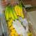 【精品】辽宁菲律宾香蕉大量上市产地直销商超品质全国发货
