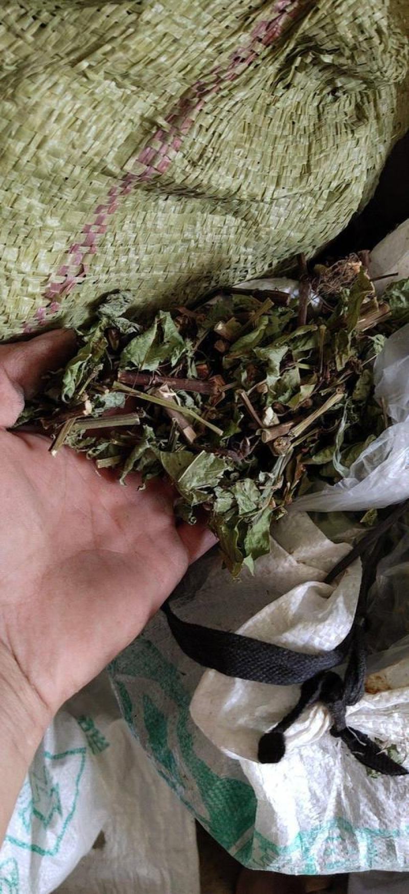 火炭母，野生火炭母草新货质量保证，经营各种中药材！