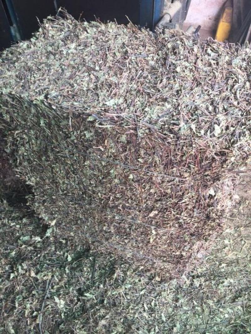 火炭母，野生火炭母草新货质量保证，经营各种中药材！