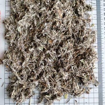 老头草中草药干货常年经营各种中药材