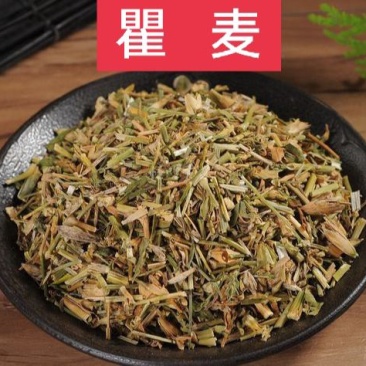 瞿麦，正品野生瞿麦质量保证，经营各种中药材欢迎咨询选购！