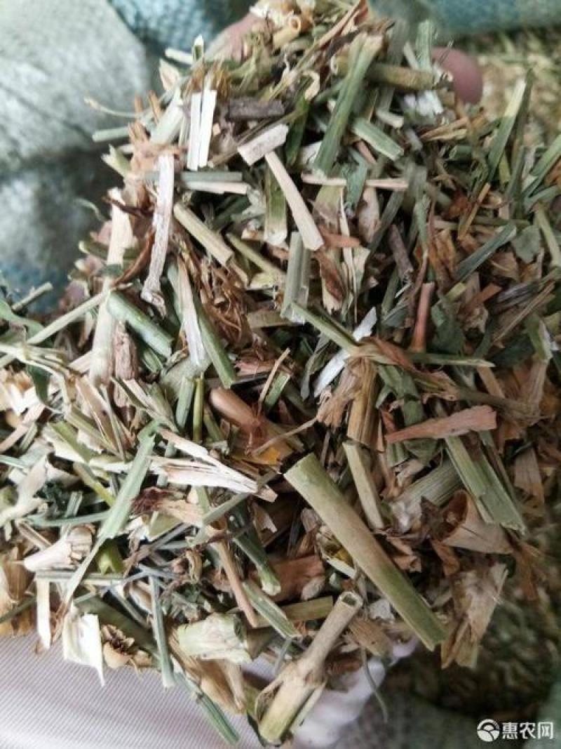 瞿麦，正品野生瞿麦质量保证，经营各种中药材欢迎咨询选购！