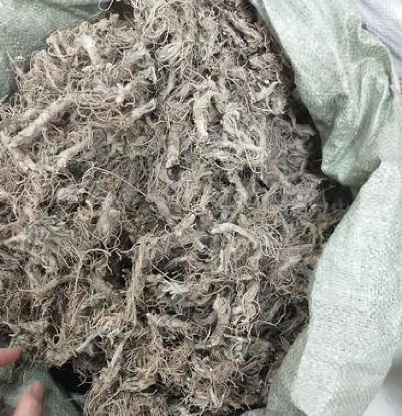 地胆草，地胆头野生新货质量保证，经营各种中药材！
