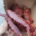 阿坝牦牛肉味大块肉牛肉味火爆麻辣五香牛肉味腊牛肉一手货