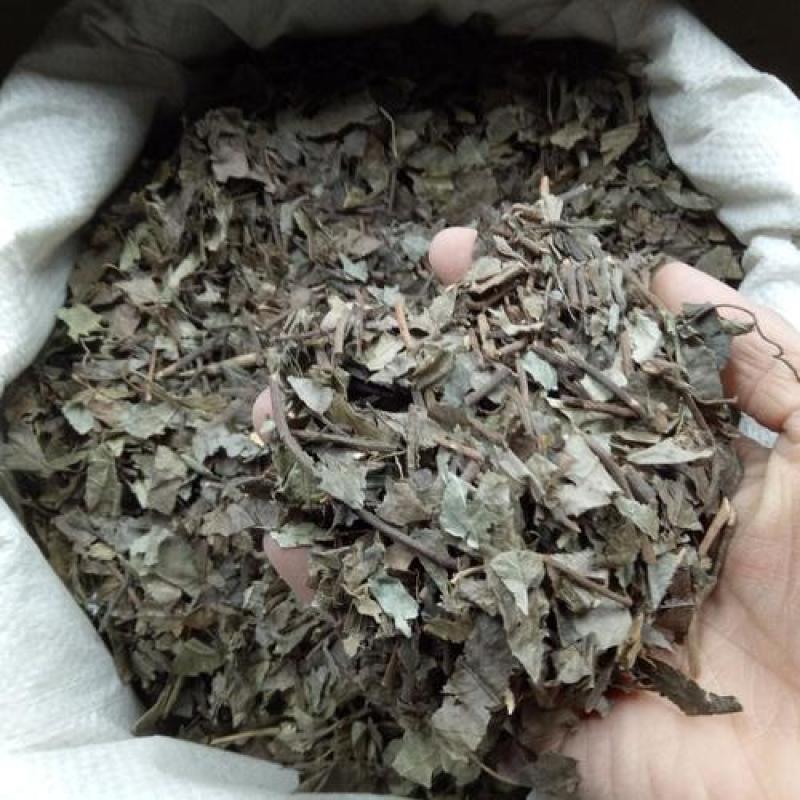 平地木，矮地茶，不出林野生新货，经营各种中药材！