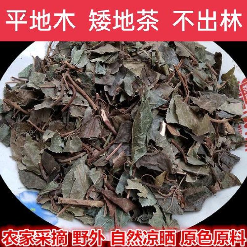 平地木，矮地茶，不出林野生新货，经营各种中药材！