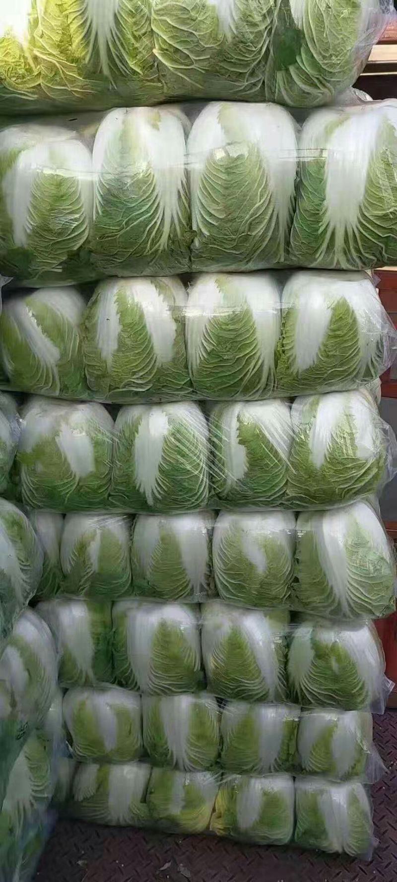 【推荐】江苏黄心大白菜，大量供应，批发市场，超市.