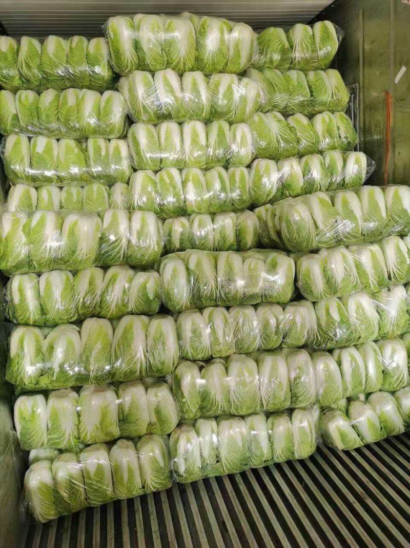 【推荐】江苏黄心大白菜，大量供应，批发市场，超市.