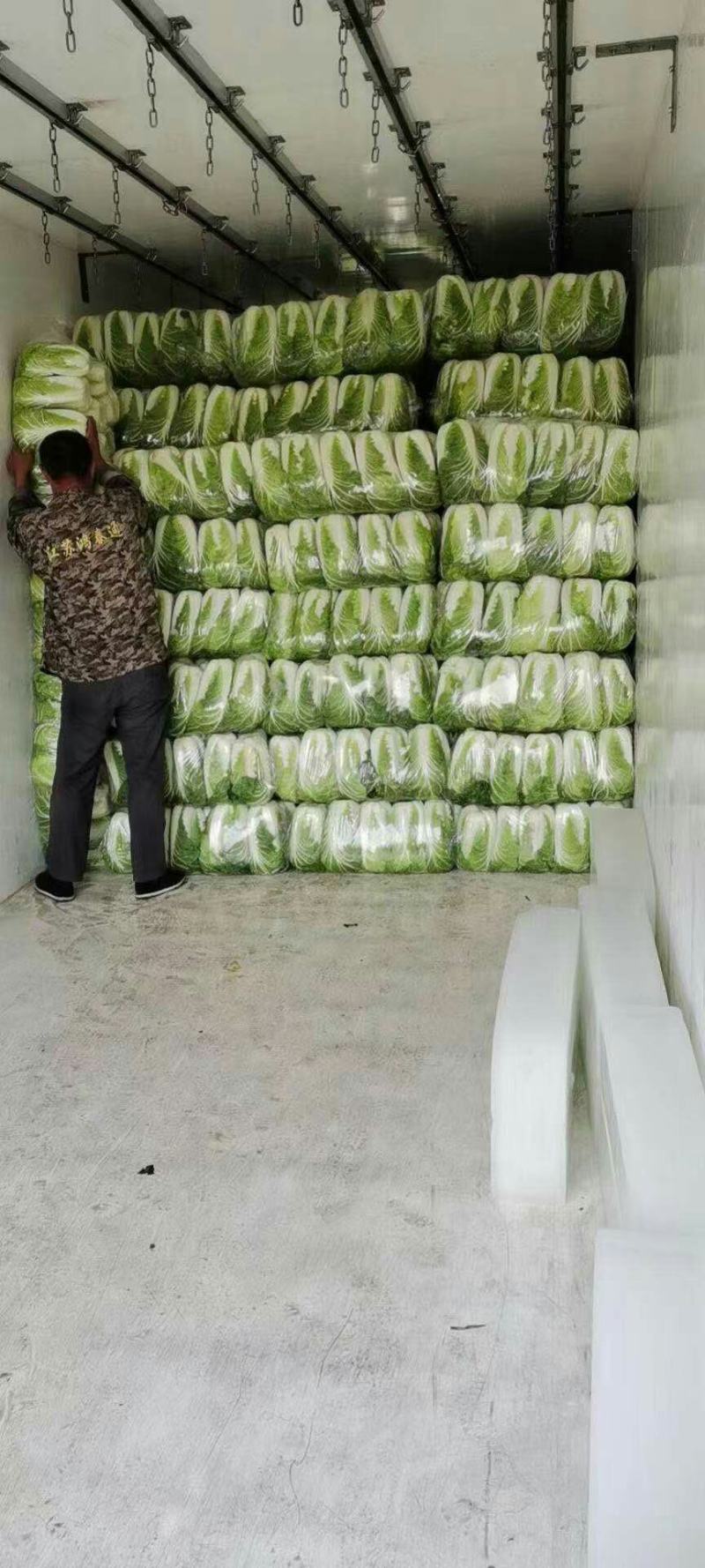 【推荐】江苏黄心大白菜，大量供应，批发市场，超市.