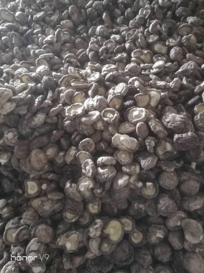 香菇批发，肉厚香菇冬菇精选香菇干货香菇肉厚短根