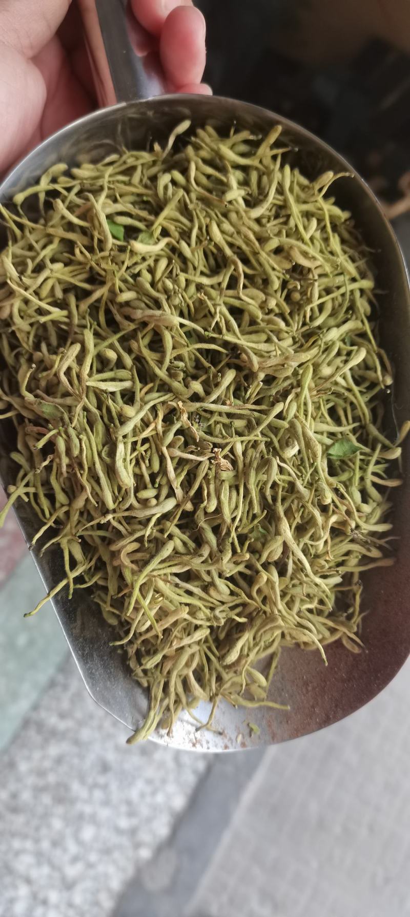 金银花药用泡茶煮水颜色好各种中药材