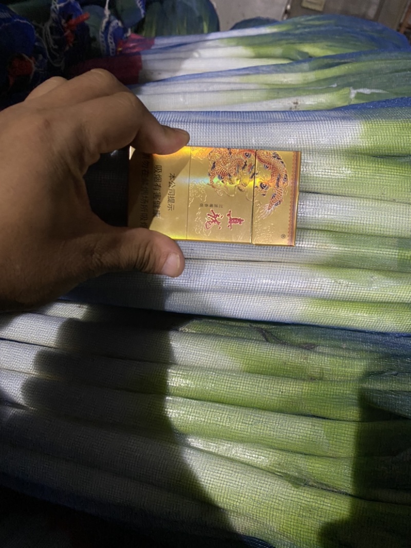 【荐】精品山东大葱，净葱，大量上市，欢迎客商来选购