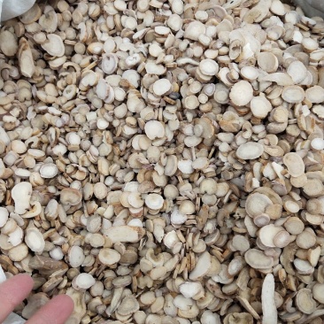 白芍，白芍片，统货，选货，各种规格齐全。价格优惠。