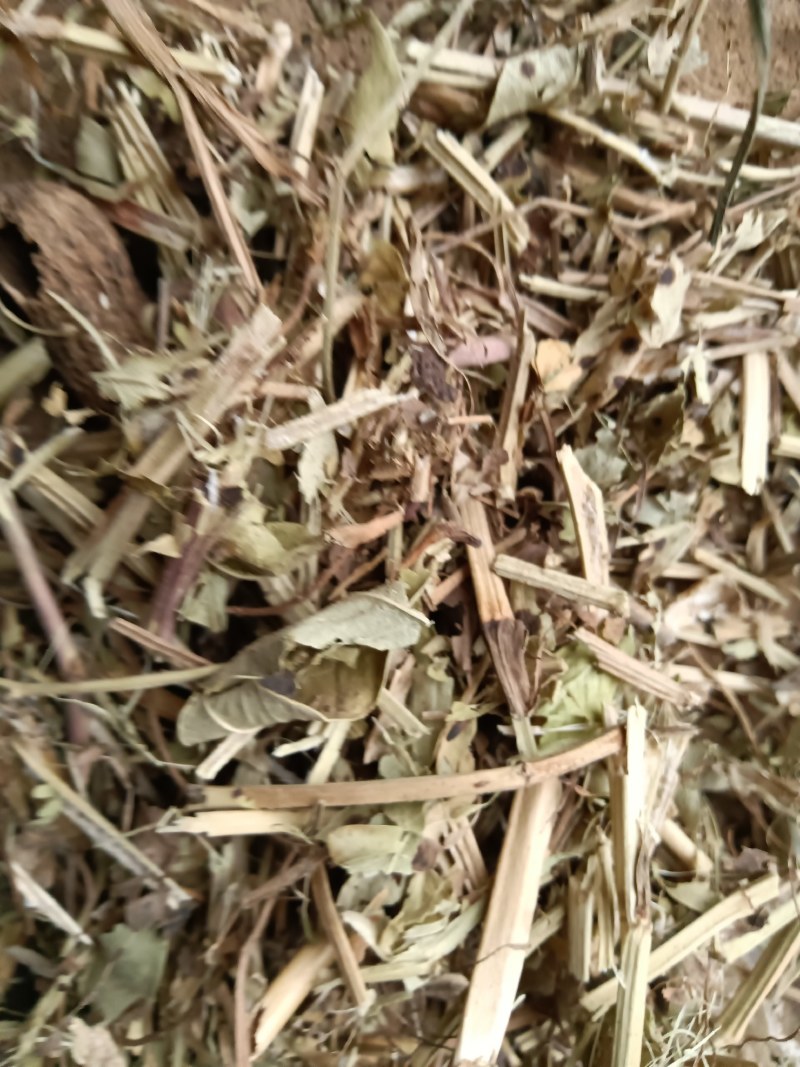 河南一级花生秧，
