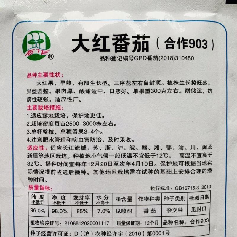正宗上海番茄种子合作903大红番茄有限生长型西红柿种子