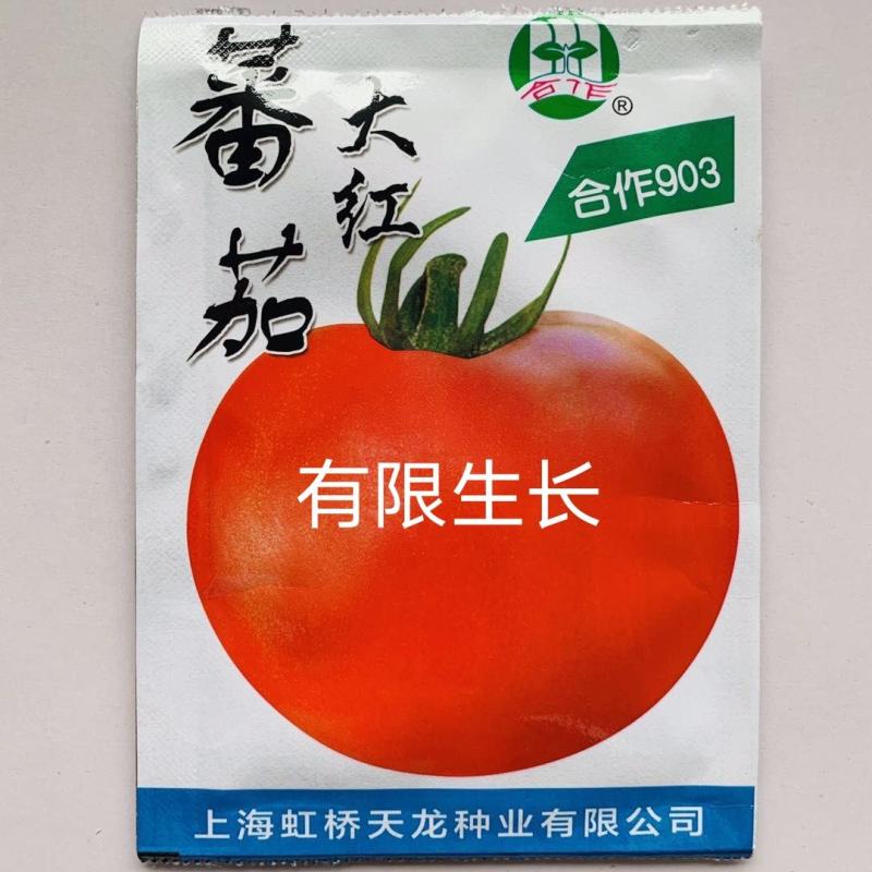 正宗上海番茄种子合作903大红番茄有限生长型西红柿种子