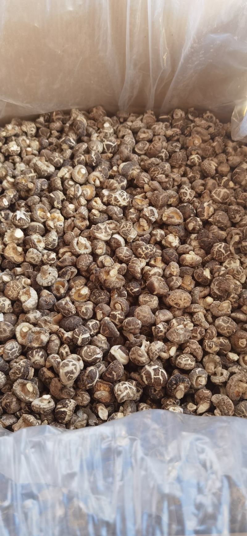 香菇干货产地直供量大稳定常年可合作支持一件代发