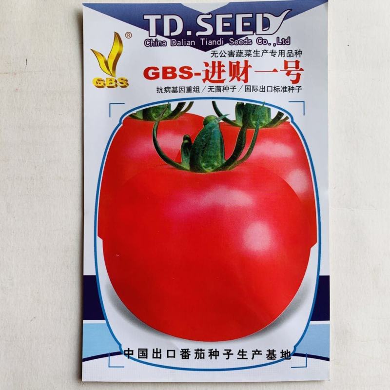 GBS进财一号无菌番茄种子耐寒极早熟高圆粉红西红柿种子