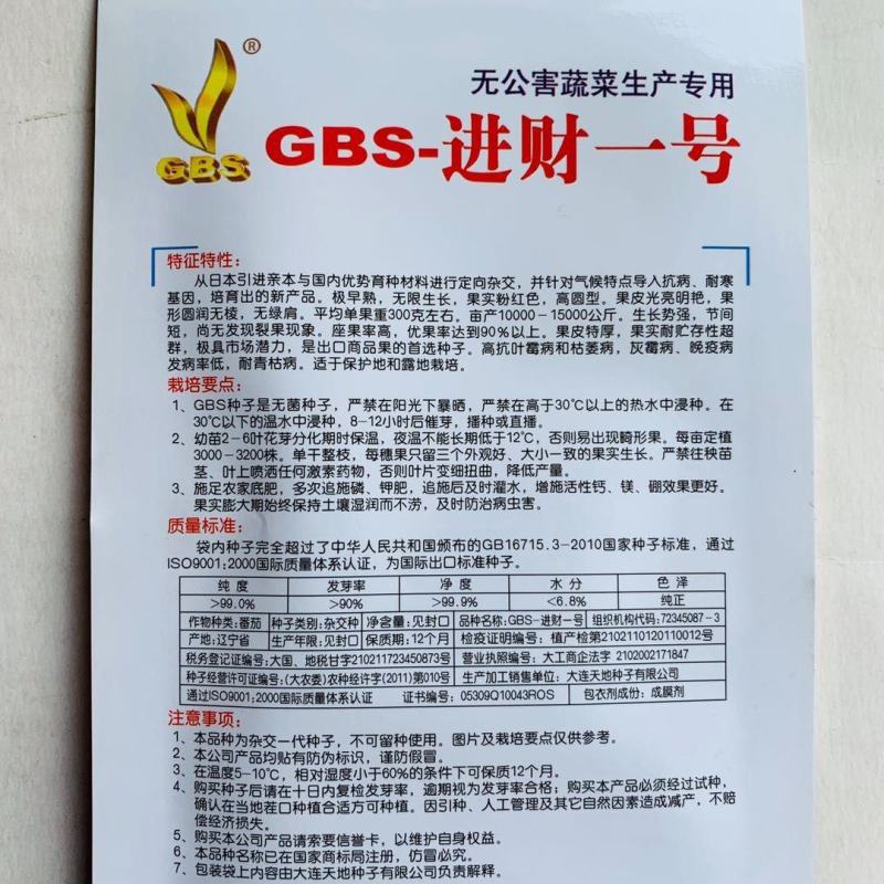 GBS进财一号无菌番茄种子耐寒极早熟高圆粉红西红柿种子