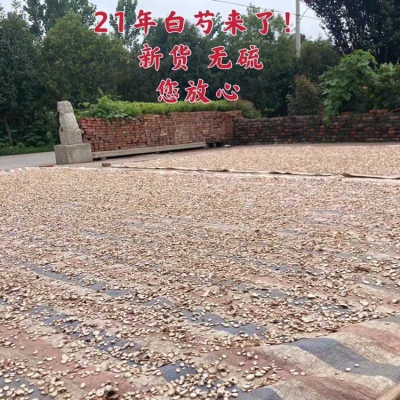 白芍白芍片2021新货无硫白芍中药材白芍包邮