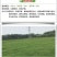 地毯草种子绿化草坪种子耐旱四季常青庭院多年生草种