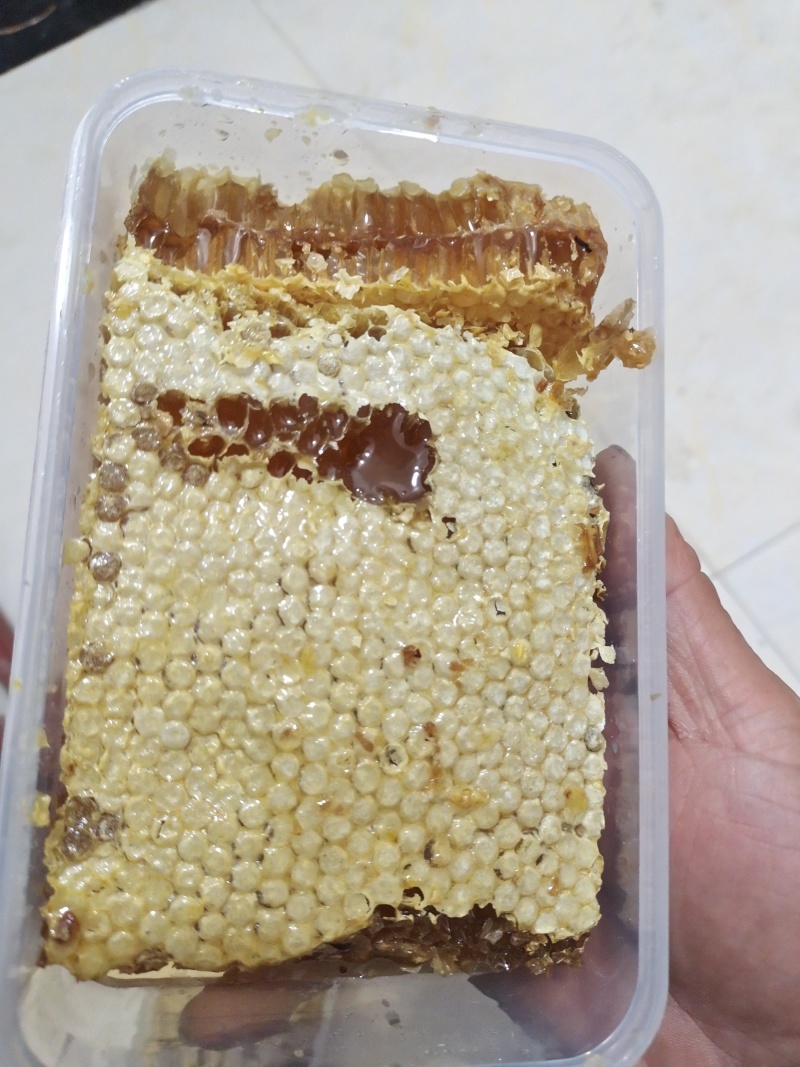 农家土蜂蜜，采用老式土养，一年只割一次的土蜂蜜