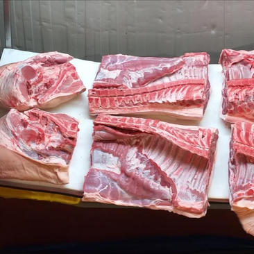 猪肉六分体原产地葡萄牙月供十五个柜405吨CIF$330