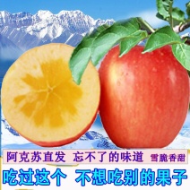 特级100超大冰糖心阿克苏红富士合作社种植可代办全国包邮