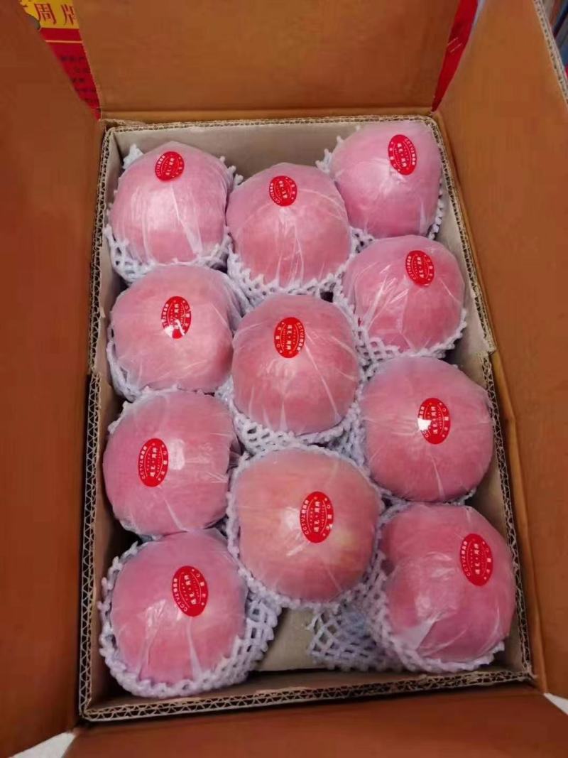 新疆阿克苏红旗坡冰糖心苹果大量走货可代办