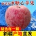 【推荐】新疆阿克苏冰糖心红富士产地直发量大招代理欢迎采购