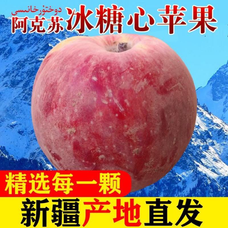 【推荐】新疆阿克苏冰糖心红富士产地直发量大招代理欢迎采购