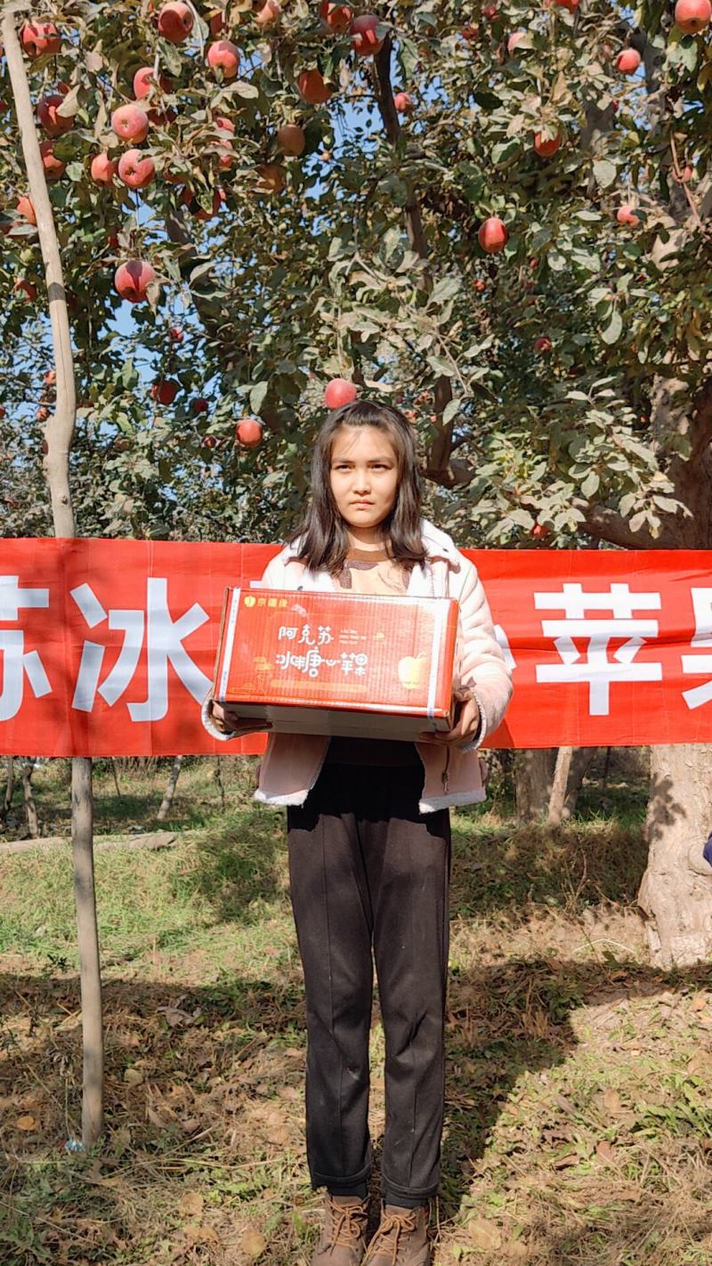 【推荐】新疆阿克苏冰糖心红富士产地直发量大招代理欢迎采购