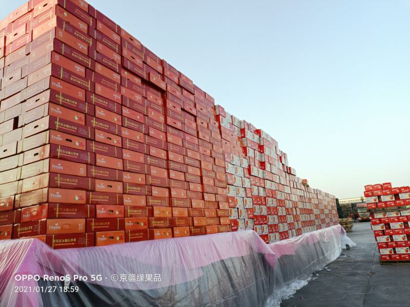 代办专业阿克苏优质冰糖心一件代发苹果糖心足颜色好顺丰包邮