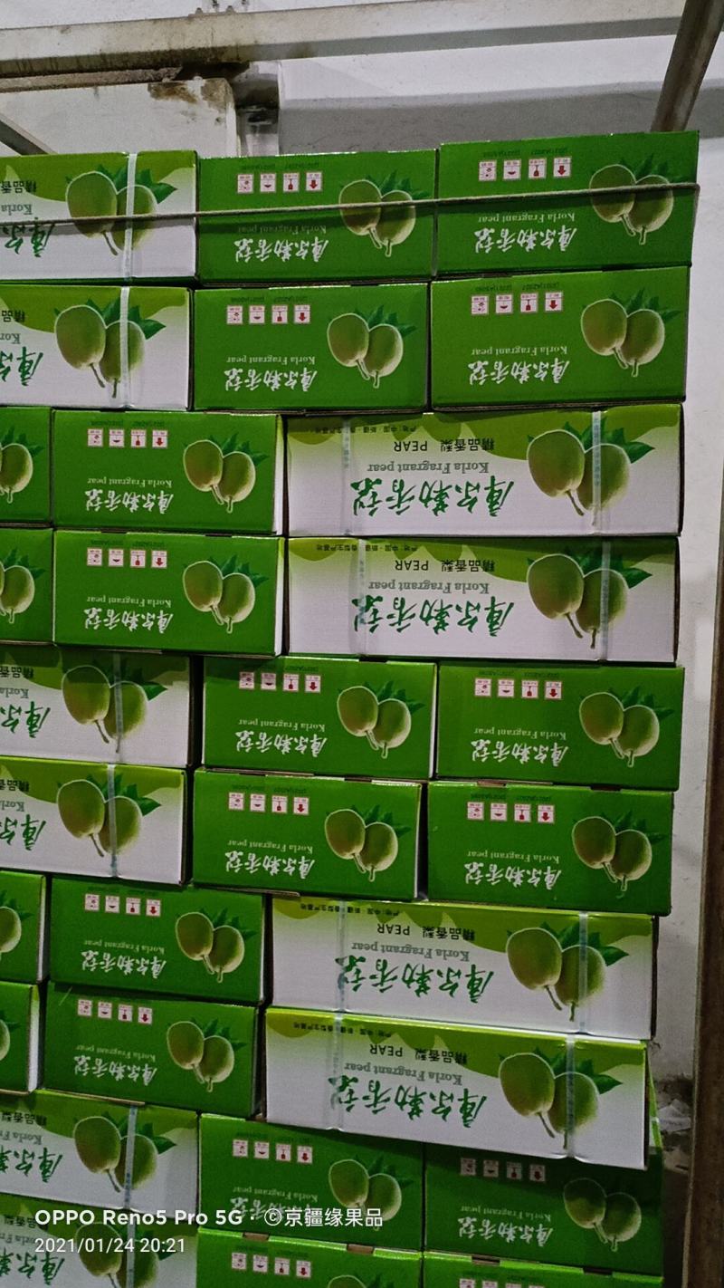 库尔勒香梨品质好皮薄多汁核小，优果多整车代发（诚信代办）