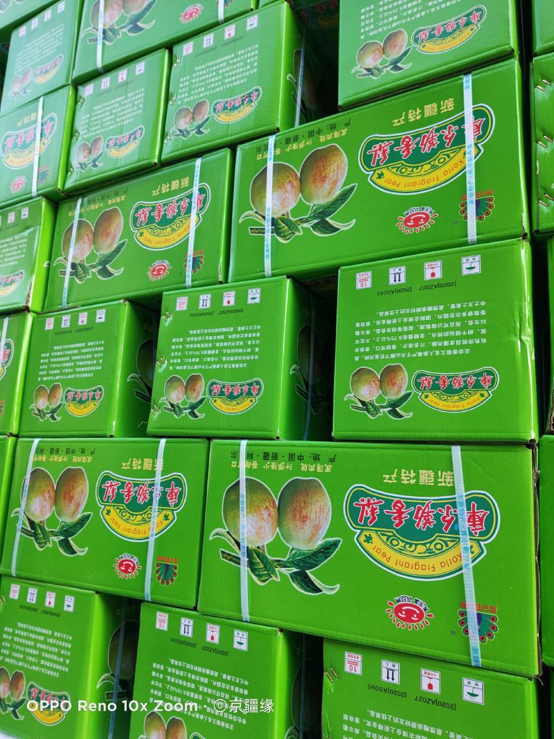 库尔勒香梨品质好皮薄多汁核小，优果多整车代发（诚信代办）