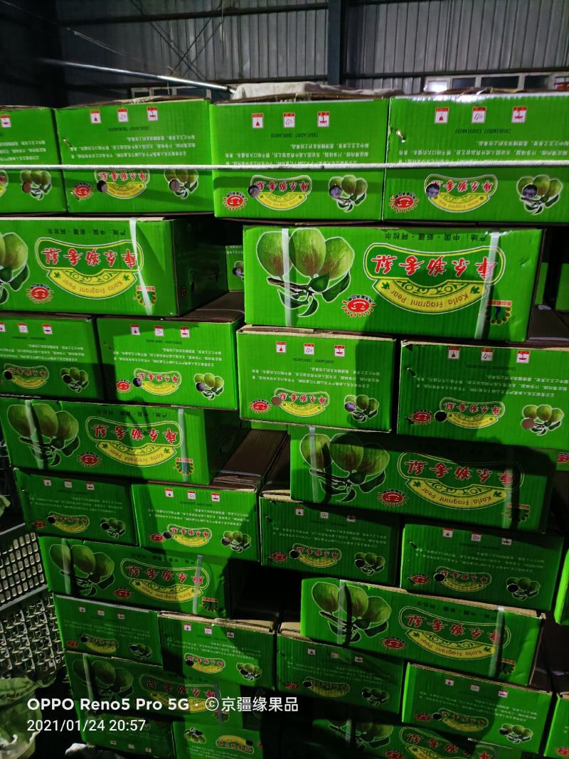 库尔勒香梨品质好皮薄多汁核小，优果多整车代发（诚信代办）