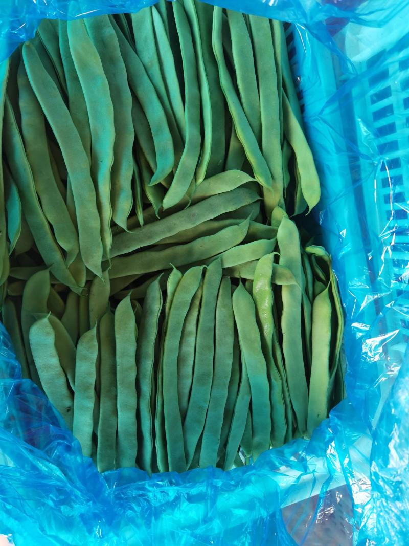 刀豆芸豆扁豆三扁产地山东莘县支持各种包装