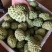 广西凤梨释迦果，支持一件代发，欢迎各位老板前来咨询合作