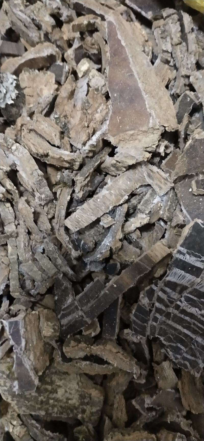 杜仲皮家种大树厚皮两公分以上厚皮切丝全干无含硫量大从优
