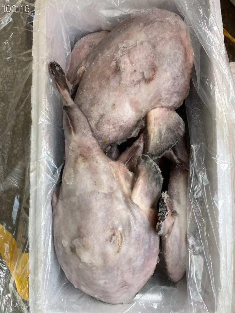 蟹宝厂家一手货源加工有量的老板们来合作蟹宝朝鲜蟹宝