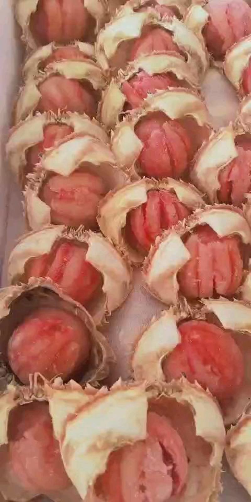 黄蚬肉厂家一手货源加工有量的老板们来合作