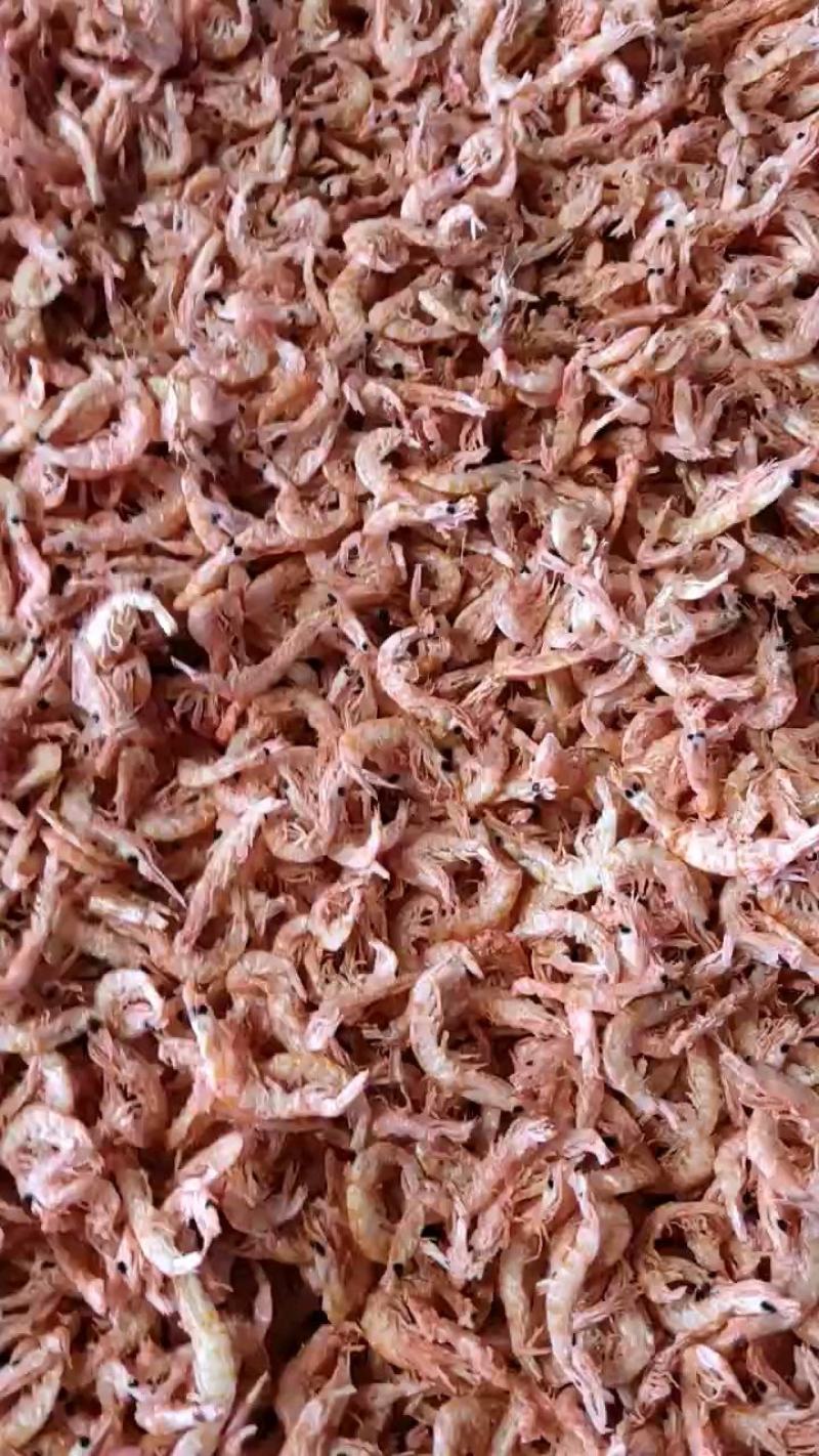 南极磷虾干磷虾磷虾南极磷虾地摊磷虾磷虾仁