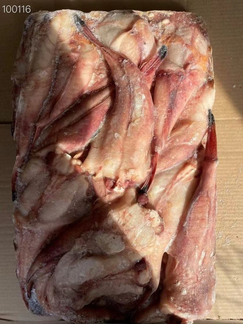 鲅鱼厂家鲅鱼马鲛鲅鱼大鲅鱼海鲅鱼大鲅鱼单冻鲅鱼